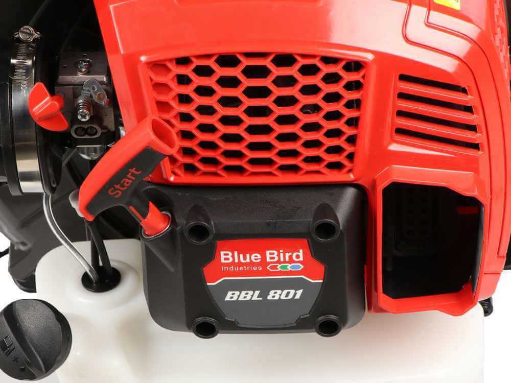 Blue Bird BBL 801